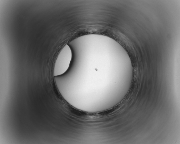 X0000094940510200711291024