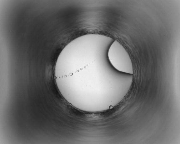 X0000094940511200711291024