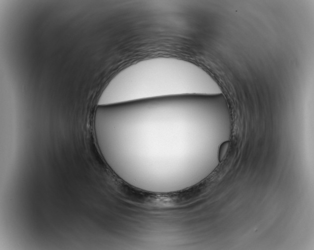 X0000094940518200711291024