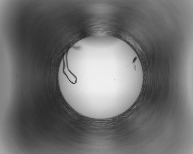 X0000094940521200711291024