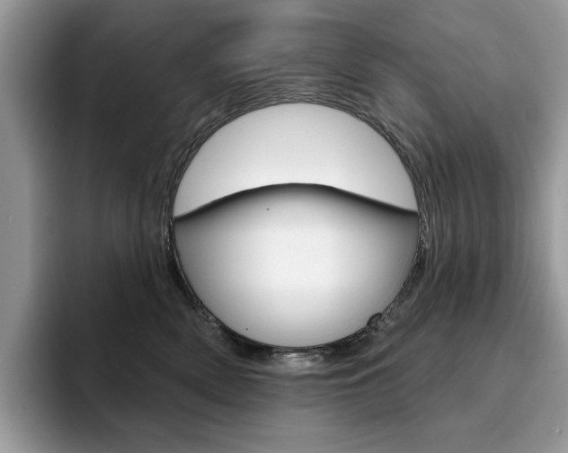 X0000094940522200711291024