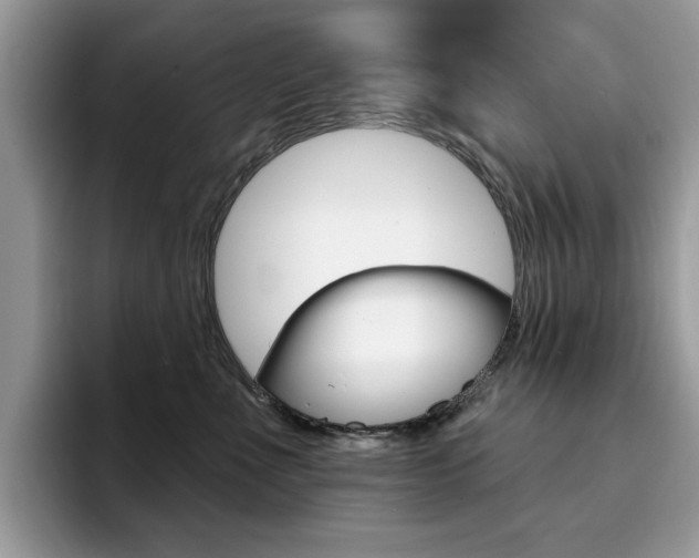 X0000094940523200711291024