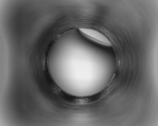 X0000094940525200711291023