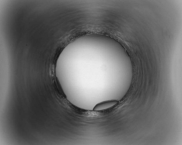 X0000094940528200711291023