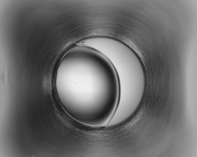 X0000094940530200711291023