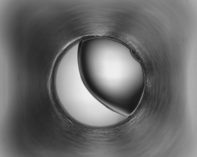 X0000094940532200711291023