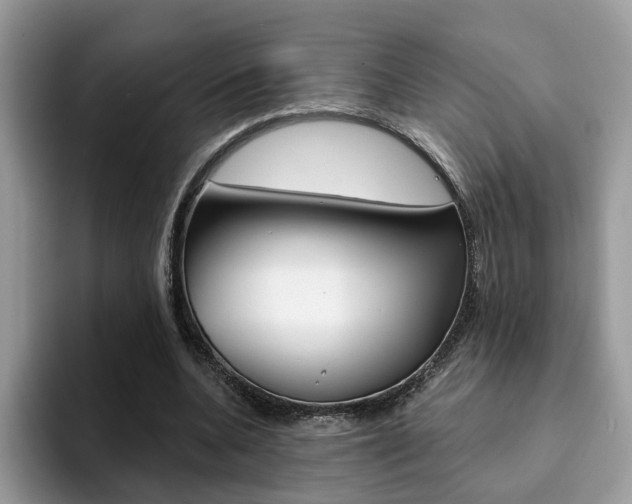 X0000094940536200711291023