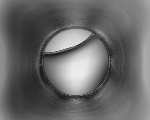 X0000094940540200711291023