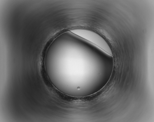 X0000094940544200711291023