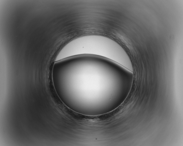 X0000094940548200711291023