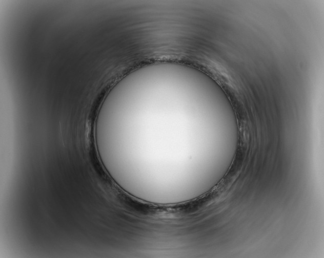 X0000094940550200711291023