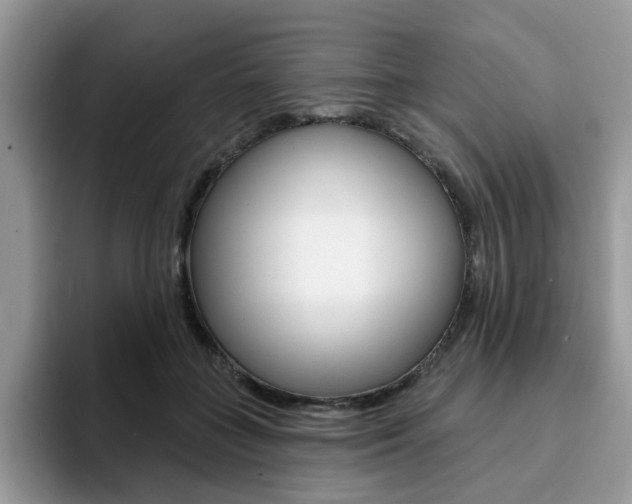 X0000094940555200711291023