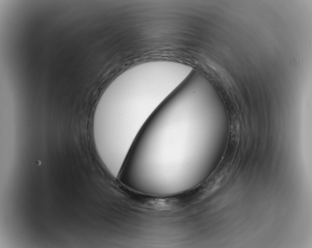 X0000094940558200711291023