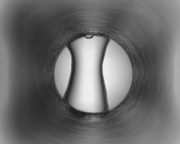 X0000094940559200711291023