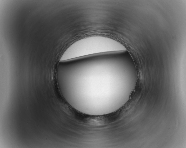 X0000094940567200711291023