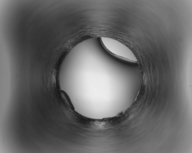 X0000094940570200711291023
