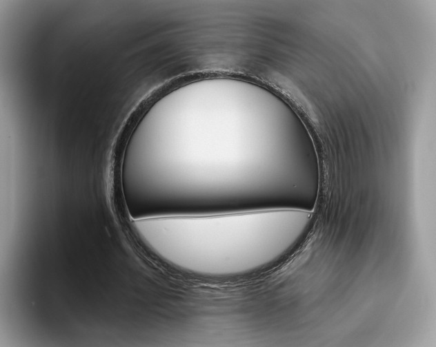 X0000094940580200711291023
