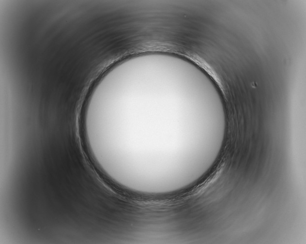 X0000094940581200711291023