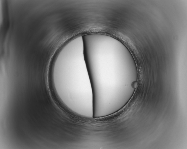 X0000094940582200711291023