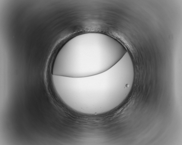 X0000094940583200711291023