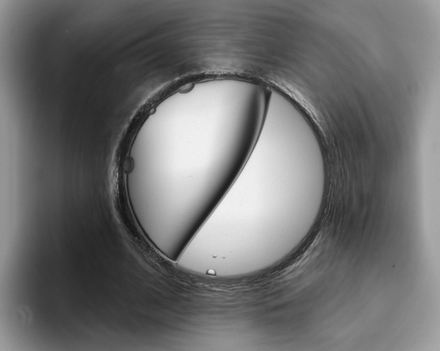 X0000094940584200711291023