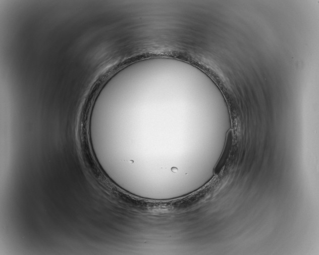 X0000094940587200711291023