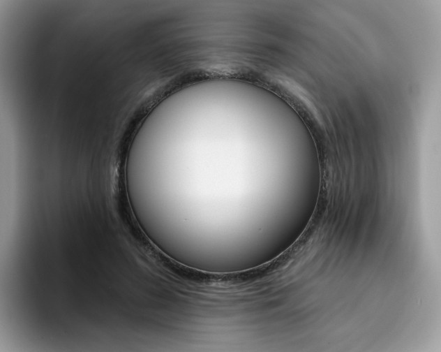 X0000094940596200711291023