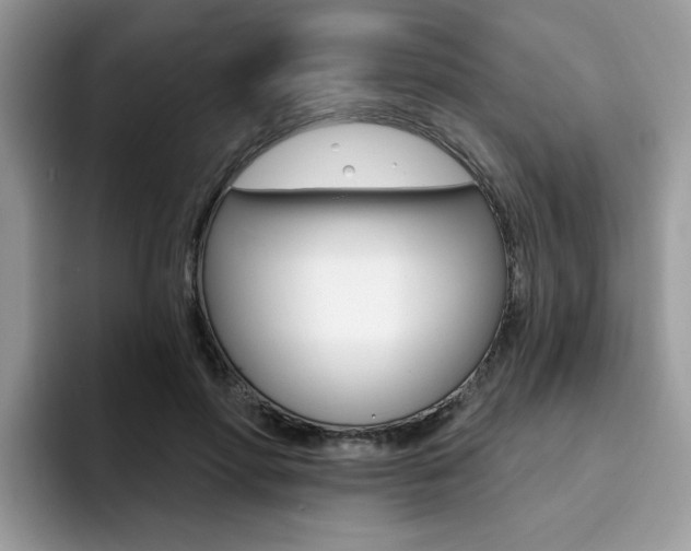 X0000094940598200711291023