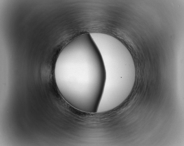 X0000094940599200711291023