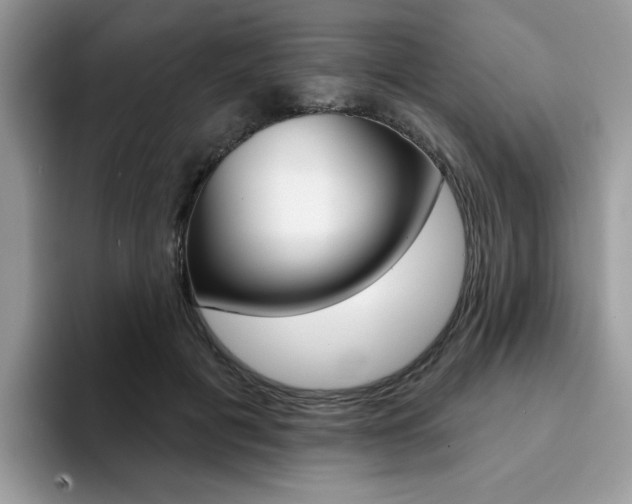 X0000094940601200711291022