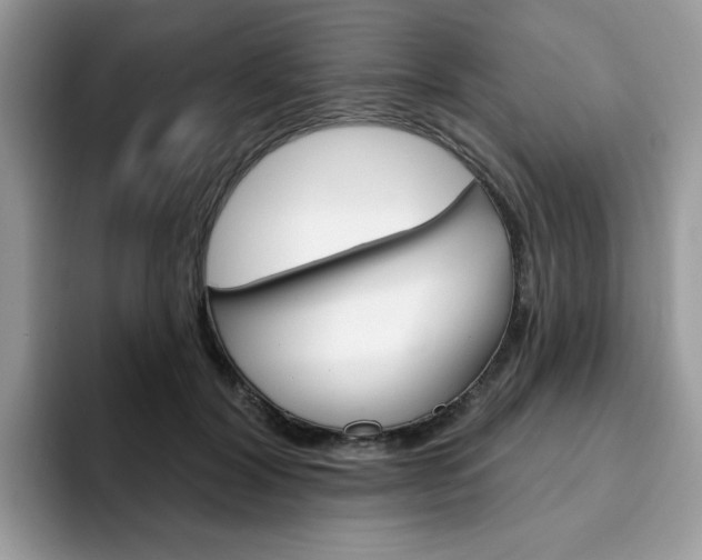 X0000094940604200711291022