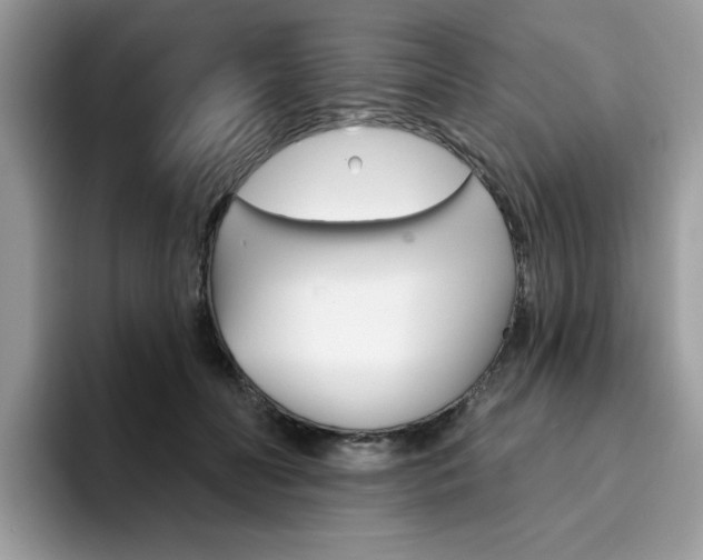 X0000094940606200711291022