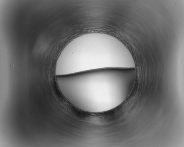 X0000094940608200711291022