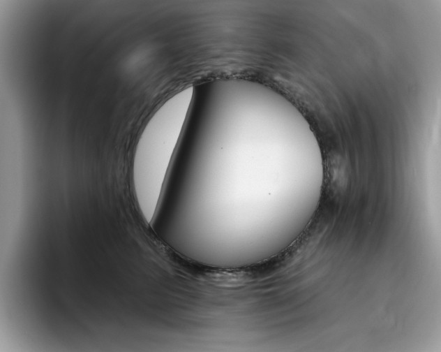 X0000094940615200711291022