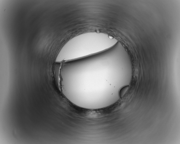 X0000094940616200711291022