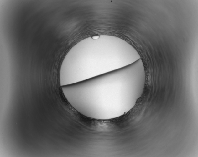 X0000094940618200711291022