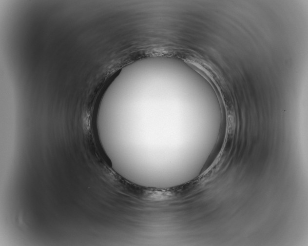 X0000094940621200711291022
