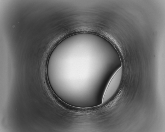 X0000094940625200711291022