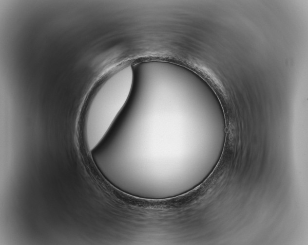 X0000094940628200711291022
