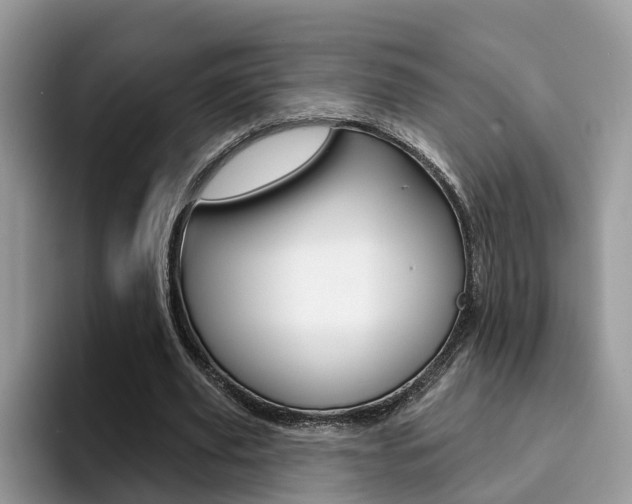 X0000094940629200711291022
