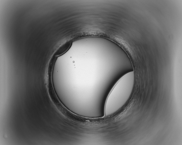 X0000094940630200711291022