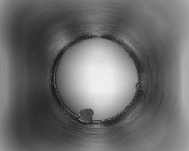 X0000094940639200711291022