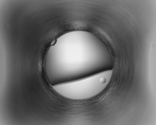 X0000094940644200711291022
