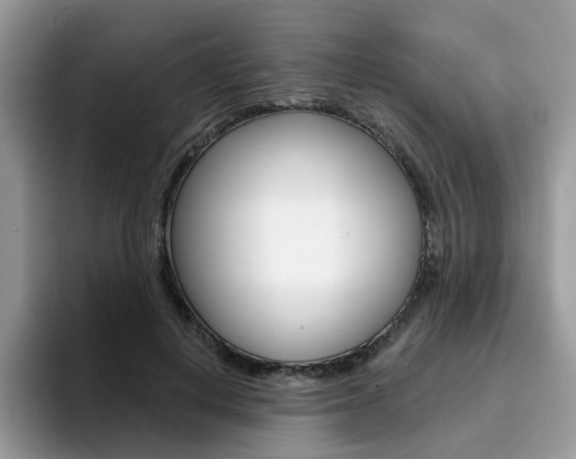 X0000094940648200711291022