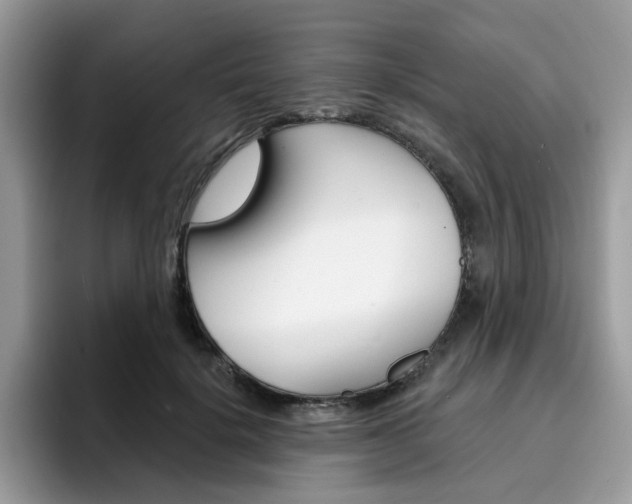 X0000094940652200711291022