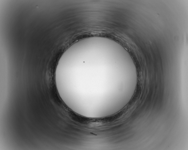 X0000094940653200711291022