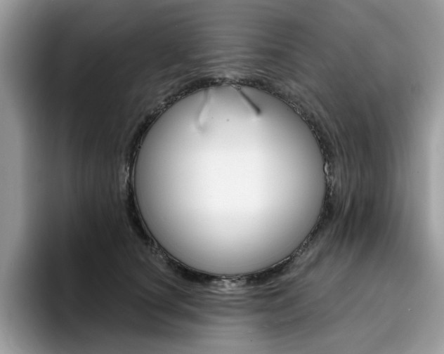 X0000094940660200711291022