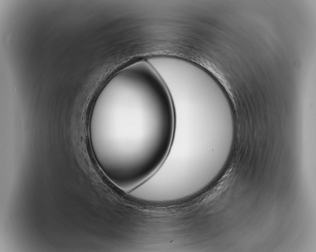X0000094940673200711291022