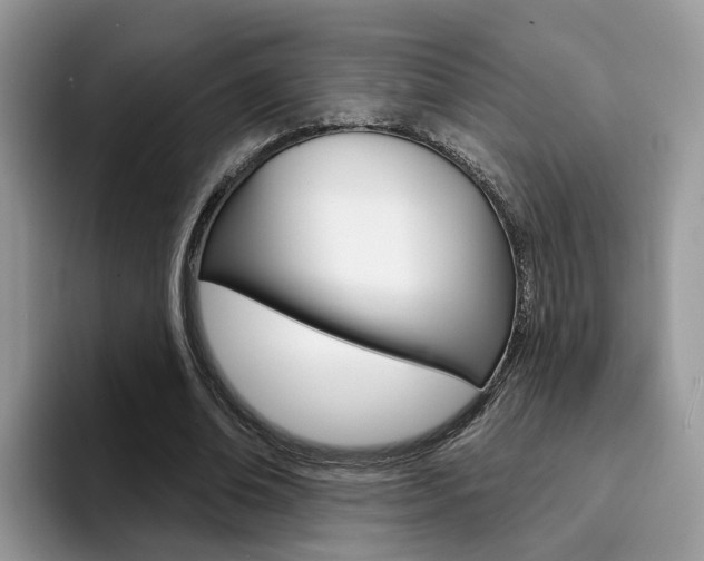 X0000094940678200711291021