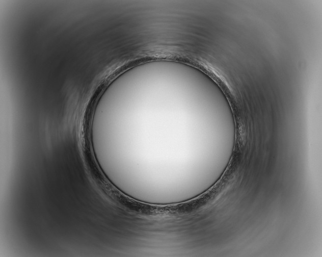 X0000094940682200711291021